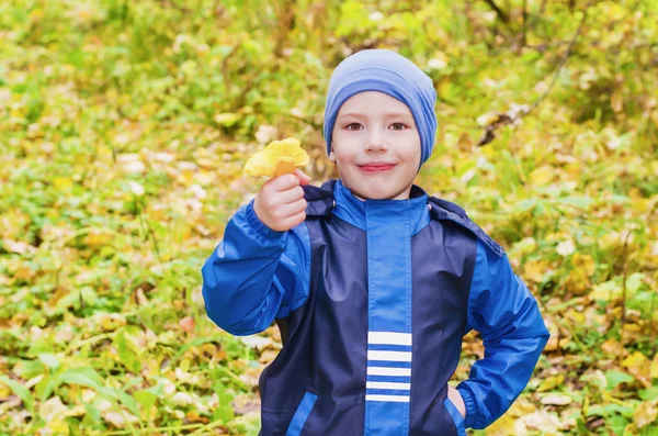 Chłopiec zbiera w jesień grzyby leśne — Zdjęcie stockowe