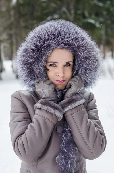 Komik kış yürüyüş güzel kadın portresi — Stok fotoğraf