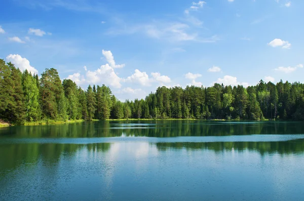 Lago en madera — Foto de Stock