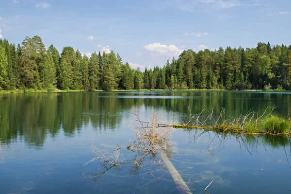 Sjön i trä — Stockfoto