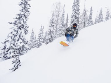 snowboard freerider