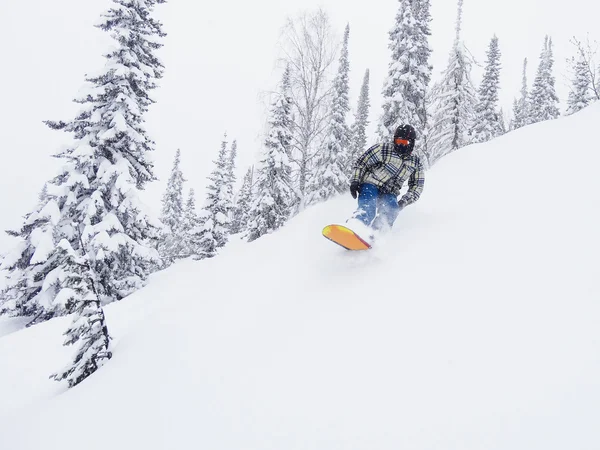 Snowboarder freerider — Fotografia de Stock