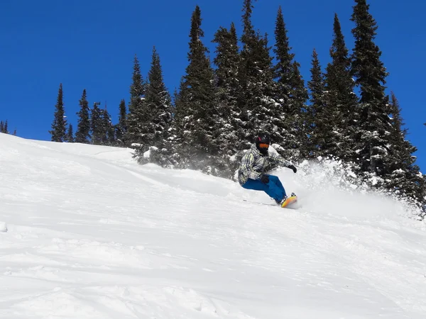 El hombre en una tabla de snowboard —  Fotos de Stock