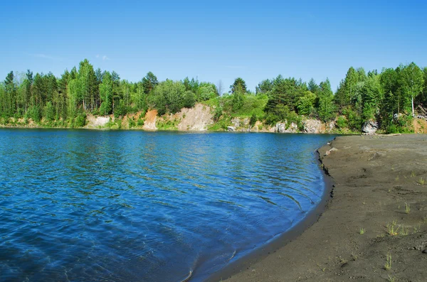 Banco de um lago florestal — Fotografia de Stock