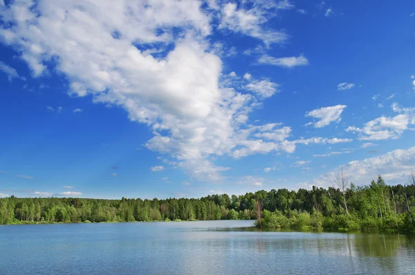 Der See des Waldes — Stockfoto