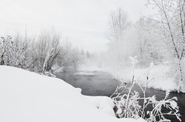 Güzel kış manzarası