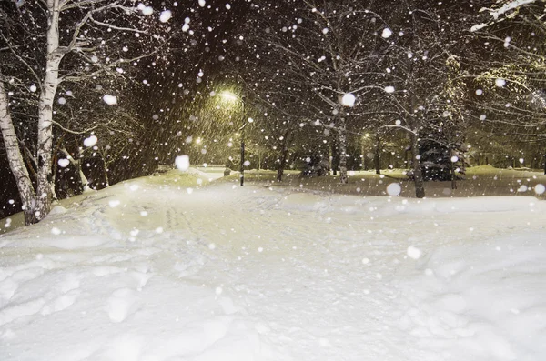 Chutes de neige dans le parc de la ville dans la soirée — Photo