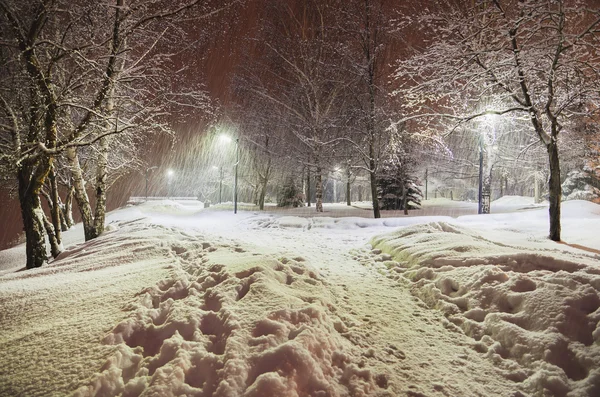 Grandes chutes de neige dans le parc de la ville dans la soirée . — Photo