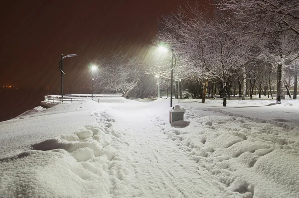 Снегопад в городском парке вечером — стоковое фото