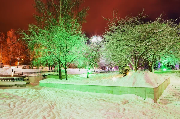 Winter evening in the city Park — Stock Photo, Image