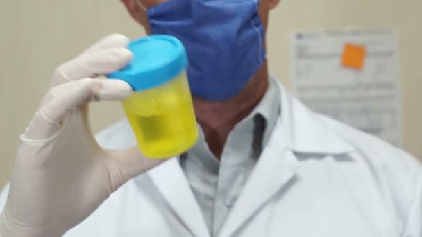 Urinanalyse Labortechniker Inspektion — Stockvideo