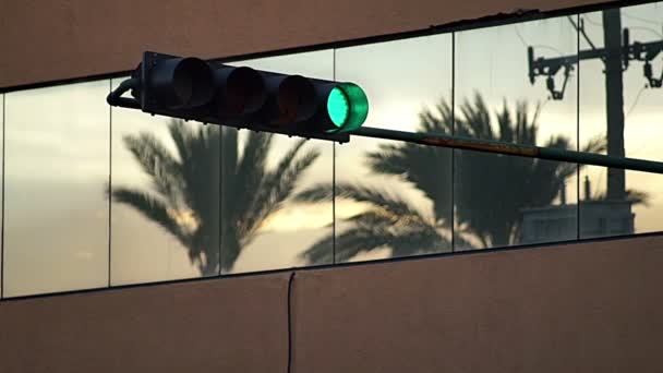 Groene verkeerslicht en Palm Tree reflectie — Stockvideo