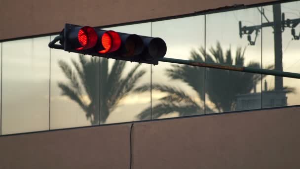 Traffic Light vänder grön Palm Tree reflektion — Stockvideo