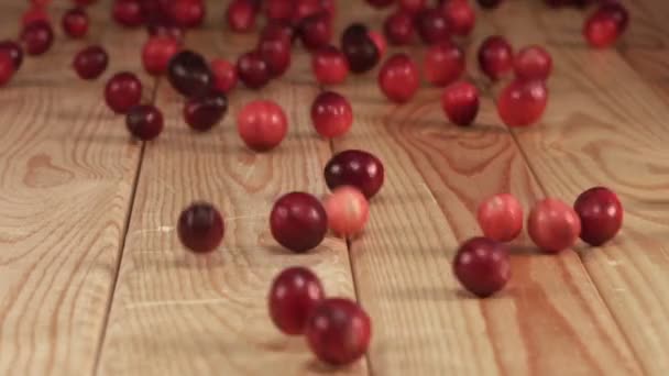 Slow Motion Shot Fresh Healthy Cranberries Used Preparation Traditional Seasonal — Stock Video