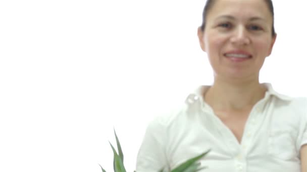 Kadın sunan tropikal ananas — Stok video