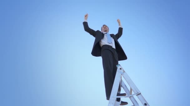 Businessman Ladder Champion Hands — Stock Video