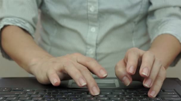 Mujer de negocios escribiendo en el ordenador portátil — Vídeo de stock
