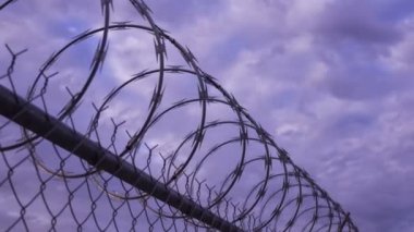 Dikenli tellere Timelapse