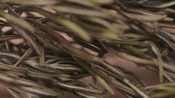 Rosemary Herb Macro Dolly — Stock Video