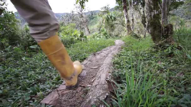 Homem botas de borracha trilha baixo ângulo indo — Vídeo de Stock