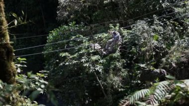 Teleferik adam gidiş kapısı