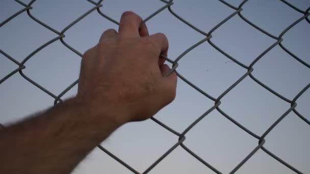 Hand Grabbing Wire Fence Closeup — Stock Video