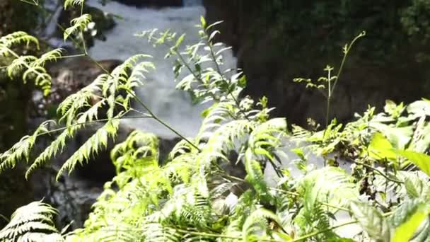 Andách vodopád Tilt nahoru doostření — Stock video