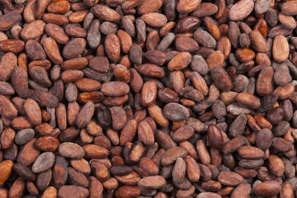 Granos de cacao fondo —  Fotos de Stock