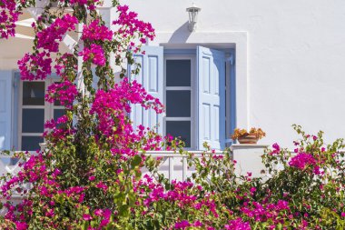 Oia, Santorini 'deki geleneksel Yunan evi, mavi pencereli Yunanistan, Avrupa