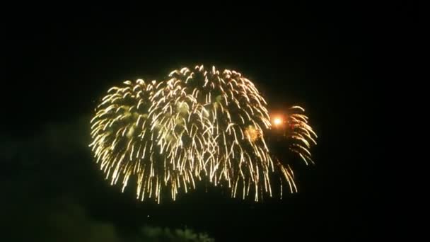 Esplosione di più fuochi d'artificio — Video Stock