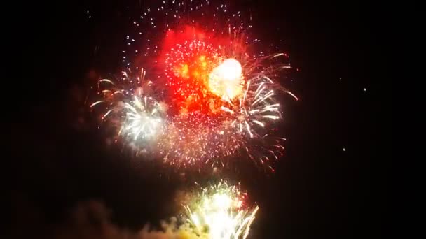 Vários fogos de artifício explosão — Vídeo de Stock