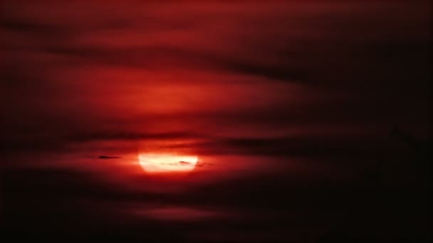 Schneller tropischer Sonnenaufgang — Stockvideo