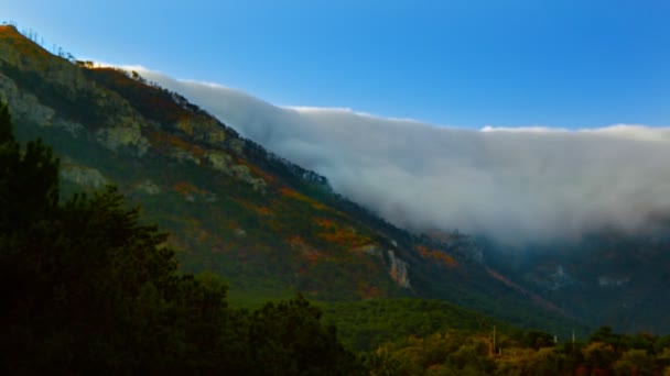 Fog on the mountain — Stock Video