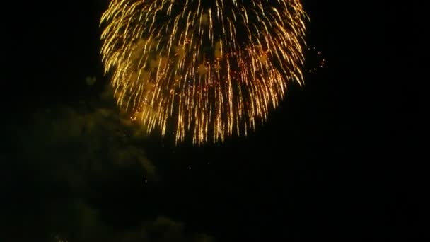 Esplosione di più fuochi d'artificio — Video Stock