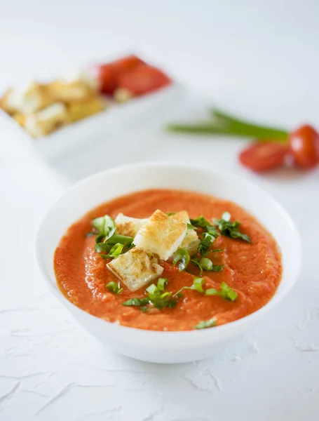 Tomatsoppa i vit platta — Stockfoto