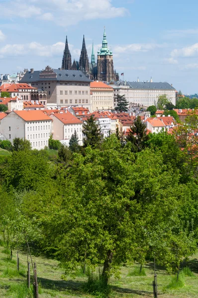 Castillo de Praga, República Checa — Foto de Stock