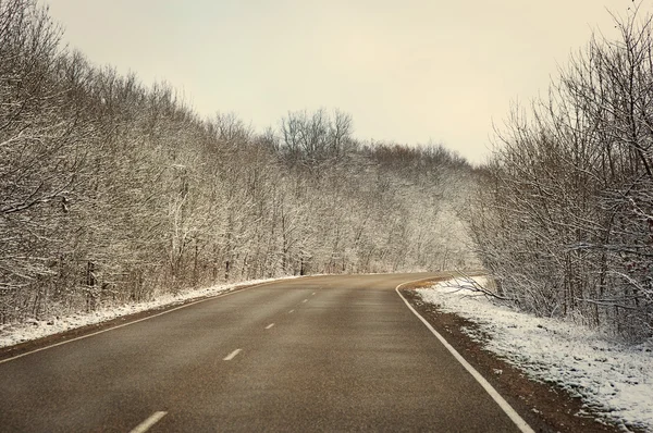 Country road in winter — Stock Photo, Image