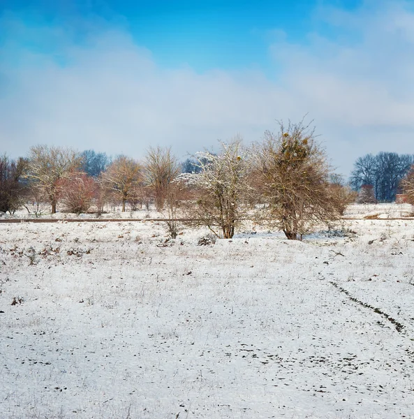 Paisaje invernal con cielo azul . — Foto de Stock