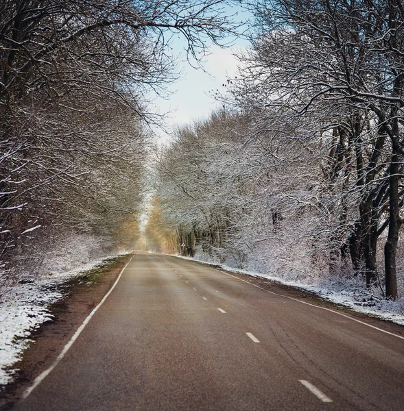 Winter road. Russia. — Stock Photo, Image