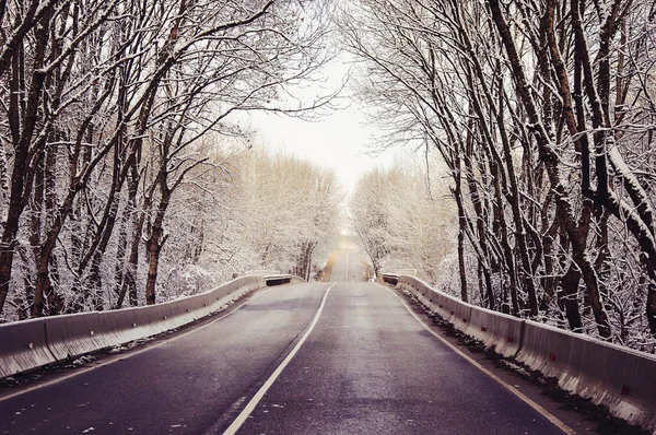 Country road inRussia — Stock Photo, Image