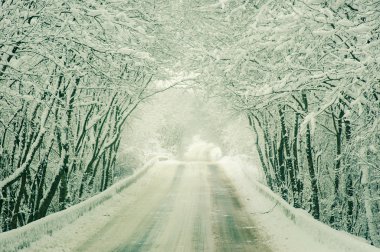 Kış ormanında karlı bir yol