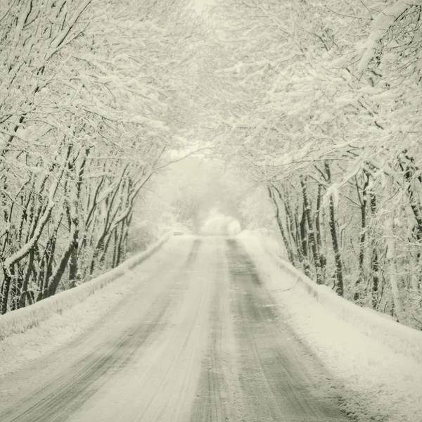 Route hivernale enneigée — Photo