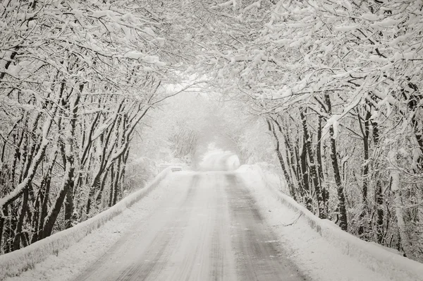 Strada invernale innevata nella foresta — Foto Stock