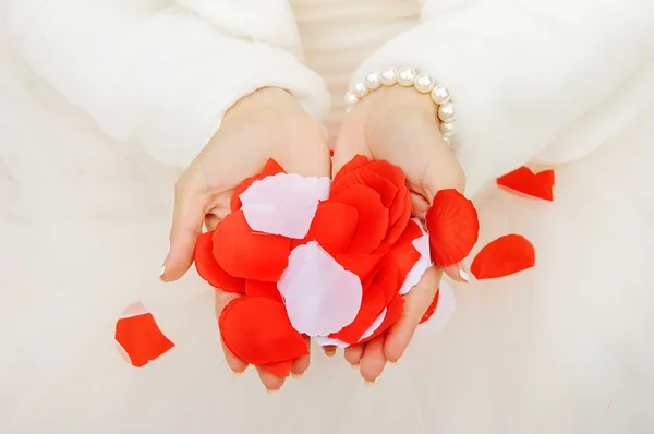 Bride holds rose petals — Stock Photo, Image