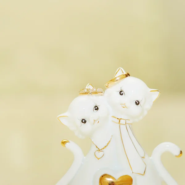 Wedding rings on cats — Stock Photo, Image