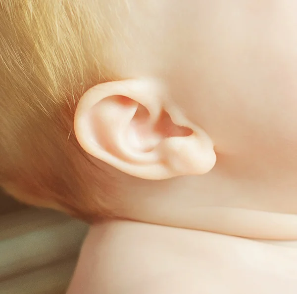 Foto de la oreja del niño —  Fotos de Stock