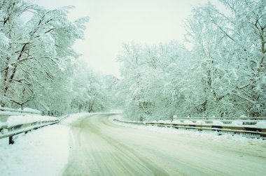 kırsal kış yol. Rusya