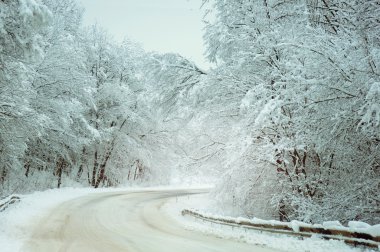 Ağaçlar karla kaplı olan yol