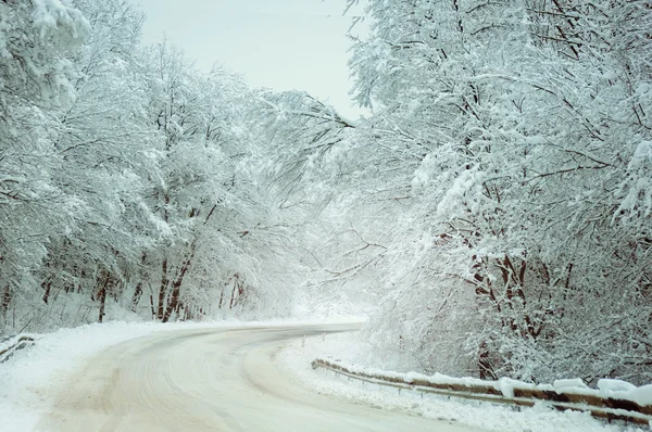 Estrada com árvores cobertas de neve — Fotografia de Stock