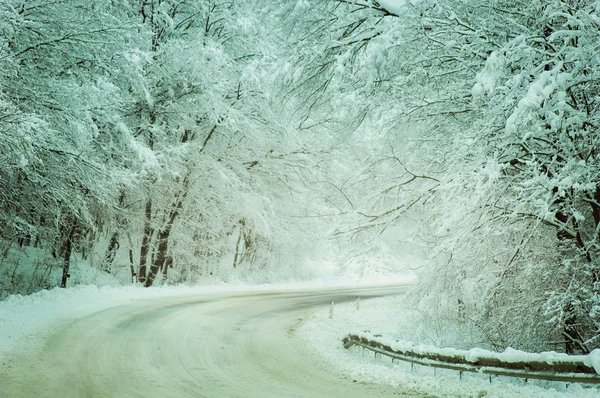 Route d'hiver avec arbres enneigés en Rusie — Photo